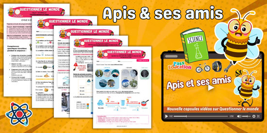 Apis - Pass Education