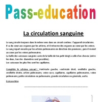 Comprendre la circulation sanguine - Exercices - Sciences : 5eme ...