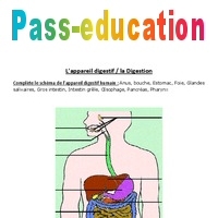 exercices sur le système digestif - Geographie CE1, CP - La Salle