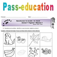 Animal, végétal ou minéral - Exercices : 2eme Primaire - PDF à imprimer