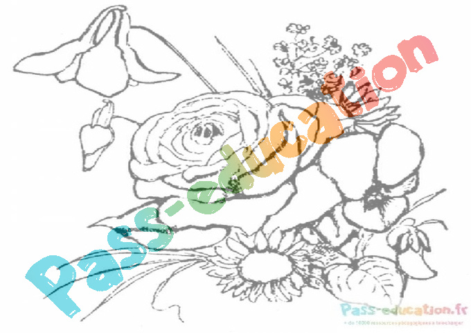 Coloriage Gratuit Fiches Bouquet De Fleurs PDF Imprimer coloriage-gratuit-fiches-bouquet-de-fleurs-pdf-imprimer