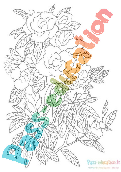 Coloriage gratuit : Fleur - PDF à imprimer
