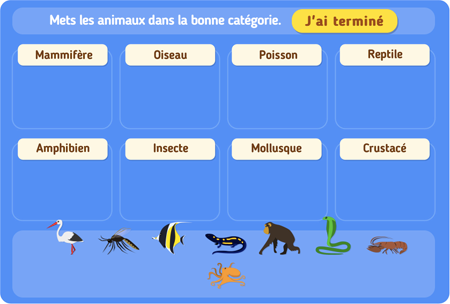 svt vivant monde 5eme primaire ce2 exercice mammifre poisson classer espces jeux jpd