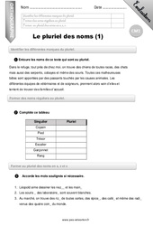 Le pluriel des noms (1) - Examen Evaluation - Bilan : 4eme Primaire - PDF à imprimer