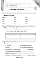 Le pluriel des noms (2) - Examen Evaluation - Bilan : 4eme Primaire - PDF à imprimer
