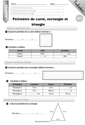 Périmètre du carré du rectangle et du triangle - Examen Evaluation - Bilan : 5eme Primaire - PDF à imprimer