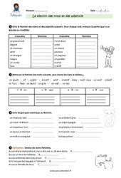 Le féminin des noms et des adjectifs - Exercices avec correction : 4eme Primaire - PDF à imprimer