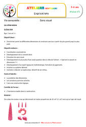 Tour rose - Vie sensorielle - Montessori - Atelier 2 : 2eme, 3eme Maternelle, 1ere, 2eme Primaire - PDF à imprimer