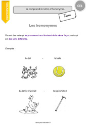 Homonymes - Cours, Leçon : 2eme Primaire - PDF gratuit à imprimer