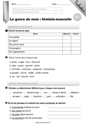Genre du nom - Examen Evaluation - Bilan : 2eme Primaire - PDF à imprimer
