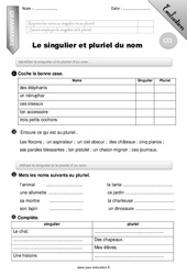 Singulier et pluriel du nom - Examen Evaluation - Bilan : 2eme Primaire - PDF à imprimer