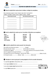 Accorder les adjectifs de couleur - Exercices avec correction : 5eme Primaire - PDF à imprimer