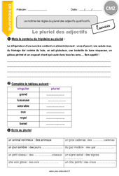 Pluriel des adjectifs - Exercices avec correction : 5eme Primaire - PDF à imprimer