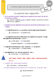 Pluriel des adjectifs - Cours, Leçon : 5eme Primaire <small style='color:inherit;'>(téléchargement gratuit)</small>
