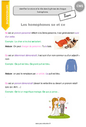 Homophones en - se et - ce - Cours, Leçon : 4eme Primaire - PDF gratuit à imprimer