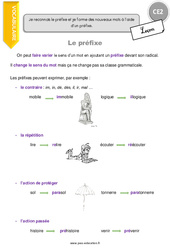 Préfixe - Cours, Leçon : 3eme Primaire <small style='color:inherit;'>(téléchargement gratuit)</small>