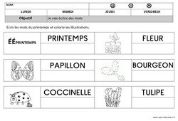 Écriture - Printemps : 1ere Maternelle - Cycle Fondamental - PDF à imprimer