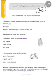 Lettres finales muettes - Cours, Leçon : 3eme Primaire - PDF gratuit à imprimer