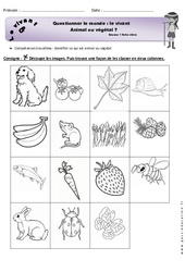 Animal ou végétal - Exercices  : 1ere Primaire - PDF à imprimer