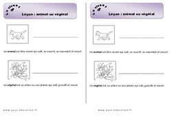 Animal ou végétal - Cours, Leçon : 1ere Primaire - PDF gratuit à imprimer