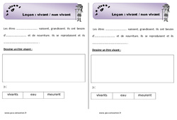 Vivant et non vivant - Cours, Leçon : 1ere Primaire - PDF gratuit à imprimer