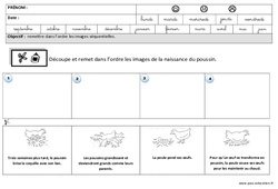 Images séquentielles - Pâques : 3eme Maternelle - Cycle Fondamental - PDF à imprimer