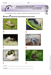 Croissance - Fiches élève - Exercices - Séance 2 - Développement des animaux : 1ere Primaire - PDF à imprimer