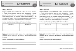 Morsures - Les substituts - Exercices de lecture : 2eme Primaire - PDF à imprimer