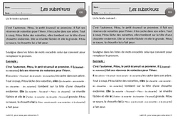 Le petit écureuil - Exercices de lecture - Les substituts : 2eme Primaire - PDF à imprimer