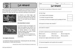 Le renard - Lecture documentaire : 2eme Primaire - PDF à imprimer