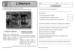 L'éléphant - Lecture documentaire : 2eme Primaire - PDF à imprimer