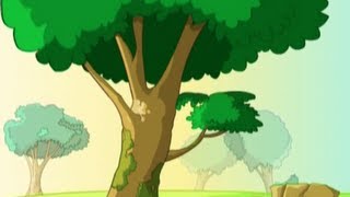 Vidéo Le plus bel arbre de la prairie - Anglais : 3eme, 4eme, 5eme Primaire