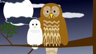 Animaux qui s'entraident - Anglais : 3eme, 4eme, 5eme Primaire