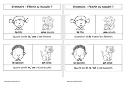 Masculin - Féminin - Cours, Leçon : 1ere Primaire - PDF gratuit à imprimer