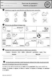 Exercices - Masculin - Féminin - Grammaire : 1ere Primaire - PDF à imprimer