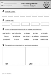 Révisions - Masculin - Féminin - Grammaire : 1ere Primaire - PDF à imprimer