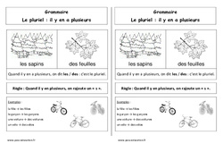 Pluriel - Cours, Leçon : 1ere Primaire - PDF gratuit à imprimer