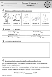 Adjectifs - Exercices - Grammaire : 1ere Primaire - PDF à imprimer