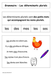 Les déterminants pluriels - Affiche pour la classe - Grammaire : 1ere Primaire - PDF à imprimer