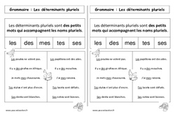 Déterminants pluriels - Cours, Leçon : 1ere Primaire - PDF gratuit à imprimer