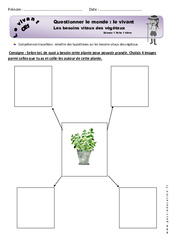Exercice Besoins vitaux des végétaux - Exercices : 2eme Primaire - PDF à imprimer