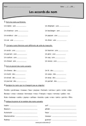 Accords du nom - Exercices  : 4eme Primaire - PDF à imprimer