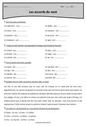 Masculin et féminin, pluriel - Accords du nom - Exercices avec correction : 4eme Primaire - PDF à imprimer