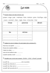 Nom propre et nom commun - Exercices  : 2eme Primaire - PDF à imprimer