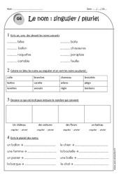 Nombre du nom - Singulier et pluriel - Exercices  : 2eme Primaire - PDF à imprimer