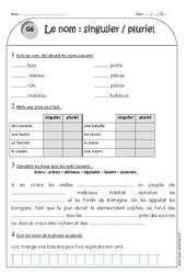 Singulier - Pluriel - Exercices avec correction : 2eme Primaire - PDF à imprimer