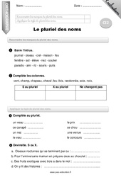 Pluriel des noms - Examen Evaluation - Bilan : 3eme Primaire - PDF à imprimer