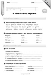 Féminin des adjectifs - Examen Evaluation - Bilan : 3eme Primaire - PDF à imprimer