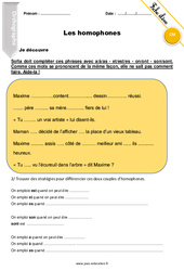 Homophones - Exercices  : 5eme Primaire - PDF à imprimer