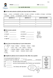 Pluriel des noms - Exercices avec correction : 4eme Primaire - PDF à imprimer
